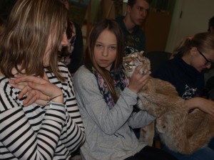 OLYMPUS DIGITAL CAMERA