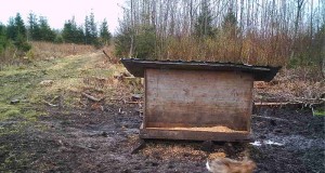 Piltuudis: kes trampis maa mustaks?