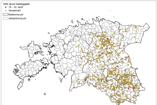 21 SAK positiivset proovi