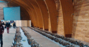 Veretu jaht sarvedele