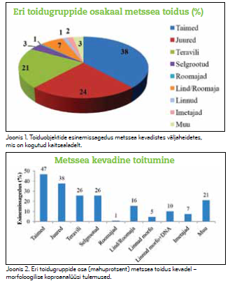 Metssiga kui kiskja joonis