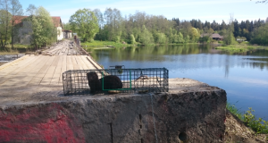 Lõksupüügikoolitus kokkutulekul