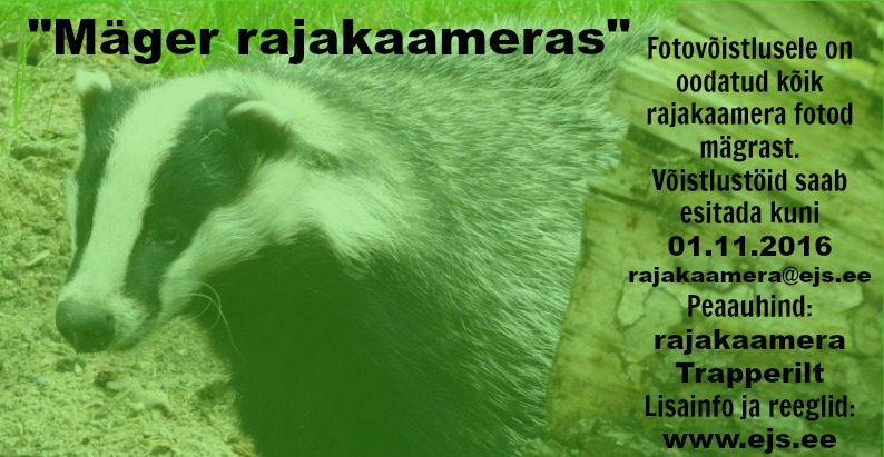 Mäger rajakaameras