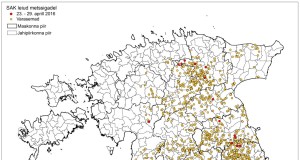 29 SAK positiivset proovi