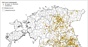 15 SAK positiivset proovi