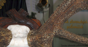 EJ2/2016: Jahitrofeedest koopiate tegemine