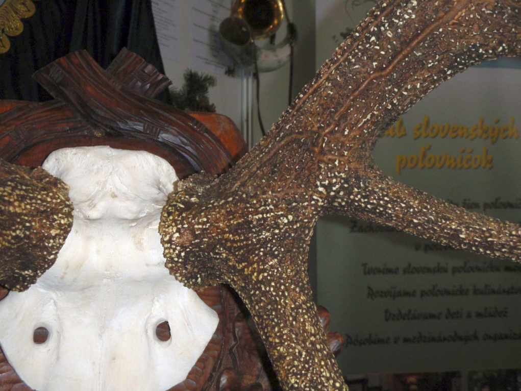 Slovakkia hirve rekordi koopia