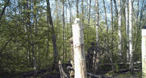 Piltuudis: Hea varjuline koht