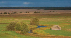 EJ3/2016: Matsalu linnuriigi kaitsest