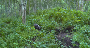 Eesti-Läti fotovõistlus “Mägral raja otsas maja”