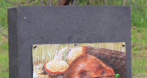 Kokkutuleku kaubatänav: Mägilased ja Pärnumaa vibujahimehed