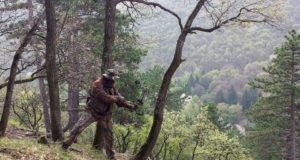 Rahvusvaheline vibujahi koolitusprogramm