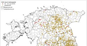 40 positiivset SAK proovi