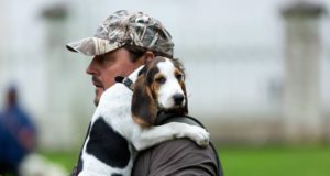 EJ5/2016: Jahikoerad Palmse mõisas