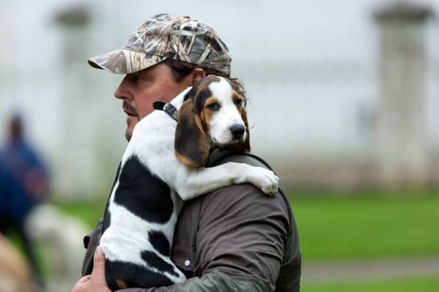 13901476_1213829578656677_737715541966288727_n