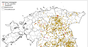 33 positiivset SAK proovi
