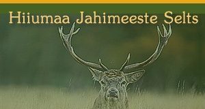 Sigade Aafrika katku infopäev Hiiumaal