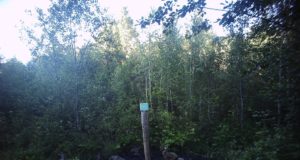 Piltuudis: kivikuningas