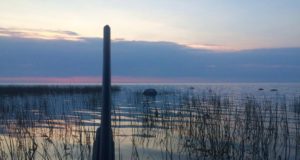 VASTULAUSE: Kaberneeme jahimehed pole jahieetika vastu eksinud