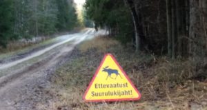 Elektroonsed tablood hoiatavad ulukite maanteel liikumise eest.