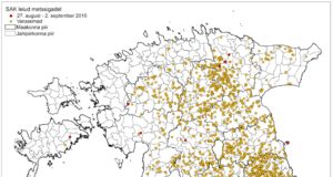 8 SAK positiivset proovi