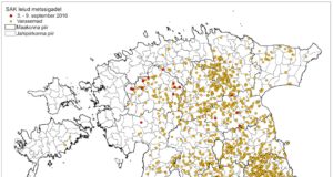 19 SAK positiivset proovi
