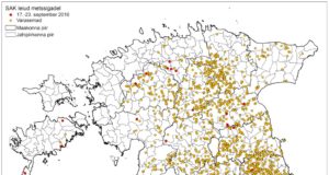 22 SAK positiivset proovi
