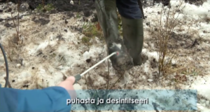 EJS: Jahimehed suhtuvad bioohutusse metsas äärmise tõsidusega