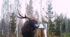 Seirefoorum „Jahiulukid – elu, olu ja mõju“