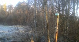 Piltuudis: on aeg sarved heita