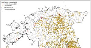 26 SAK positiivset proovi