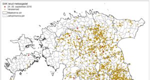 11 SAK positiivset proovi