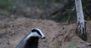 Vereta jahi võitis Ollar Kallas