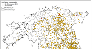 17 SAK positiivset proovi