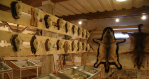 Jahitrofeede näitus Eestis