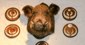 Orissaares tekitavad topised suurt elevust