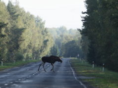 Mida teha, kui on juhtunud kokkupõrge?