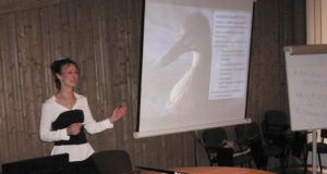 Algas vibujahi kursusele registreerimine