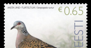 Homme antakse välja aasta linnu meened