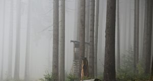 Jahindusnõukogu heakskiidu said Viljandi, Harju ja Põlva jahipiirkonnad