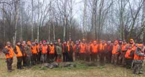 Metsseajaht Paljassaares