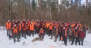 Lõppenud jahihooajal kütiti Eestis 101 hunti