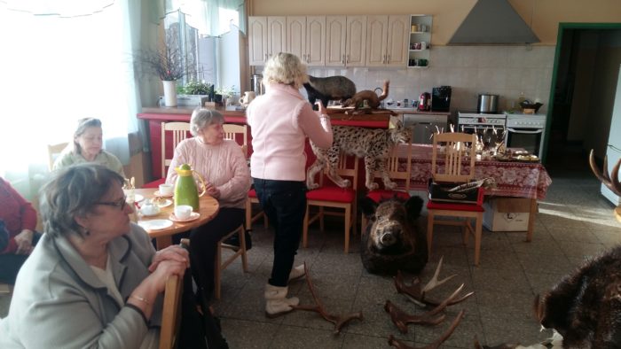 saare peedi koolitus2