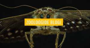 Nelja zooloogi looduse- ja teadusblogi kogub populaarsust