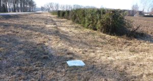 Maa-amet alustas maastiku märgistamisega