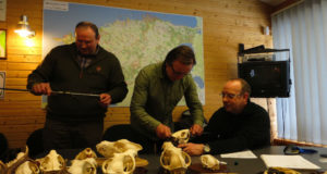 Sel nädalal alustatakse trofeede mõõtmisega