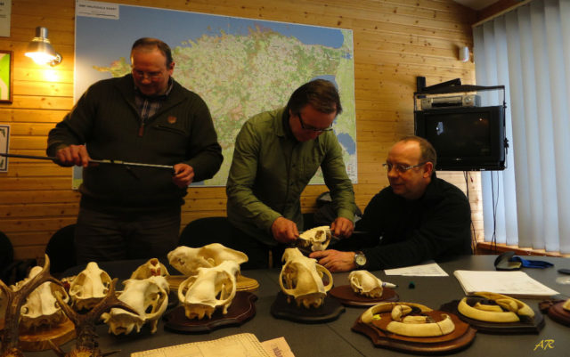 Valga-trofee-2-kodukale