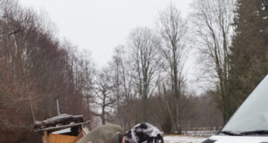 EJS küsib VTA vastab: metssigade esmakäitlemine ja hoiustamine