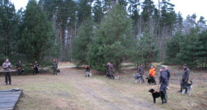 Lätis tehti koertele jahikatseid