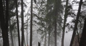 EJSi eelinfo 3.04-9.04